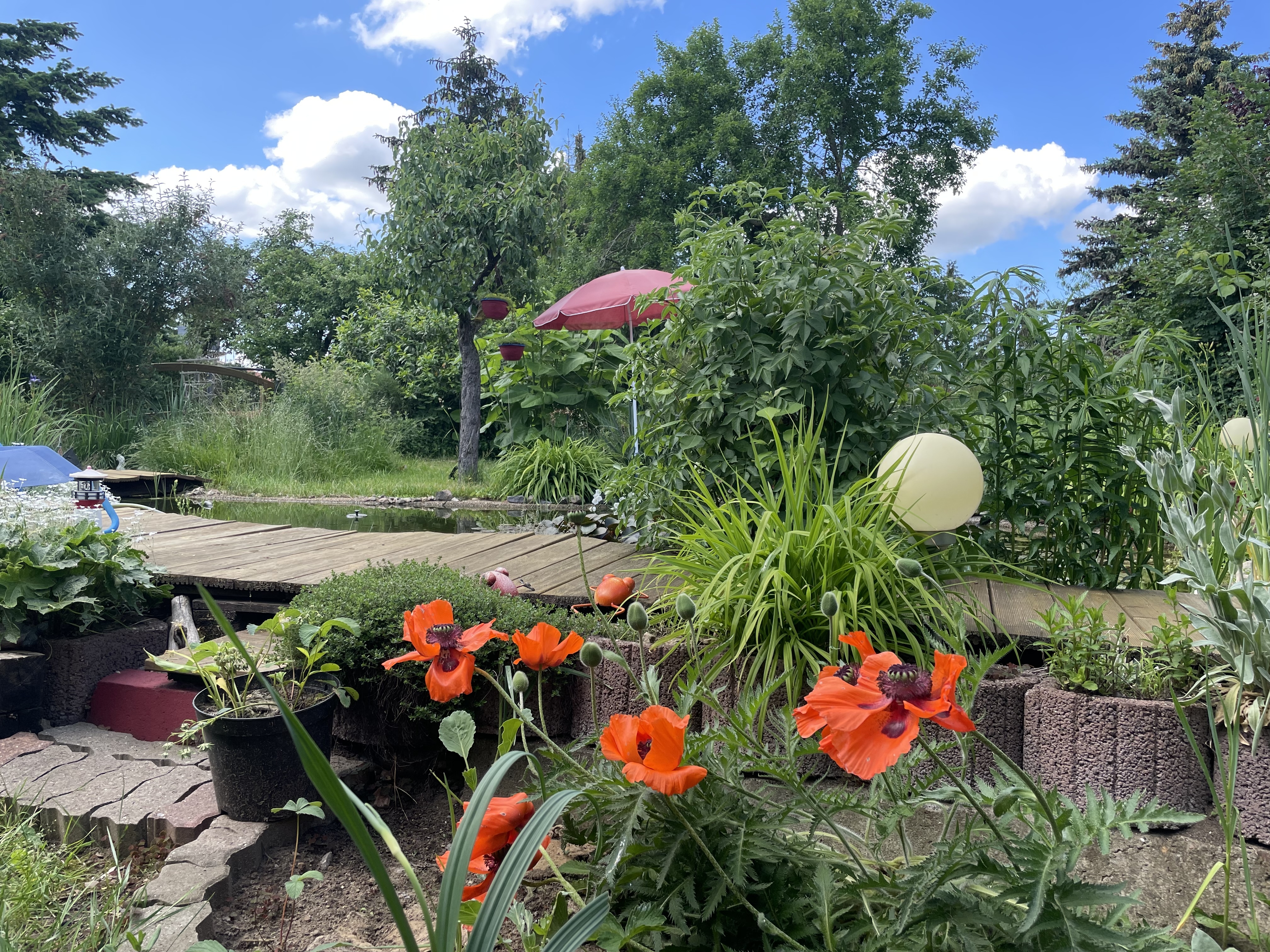 Blick auf den Obstgarten